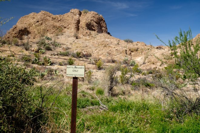 Sign "Rattlesnakes only beyond this point"