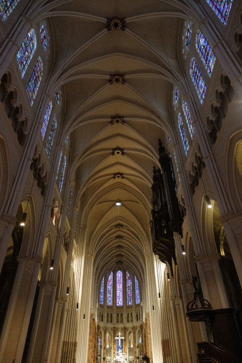 Vaulted ceiling of cathedral Vaulted ceiling of cathedral