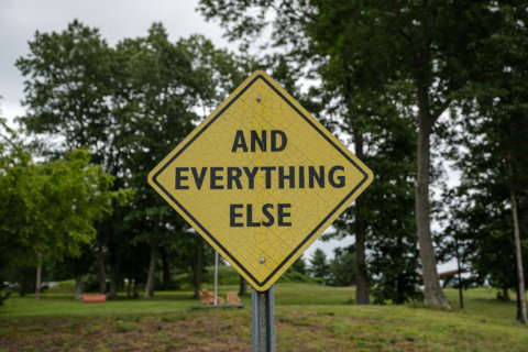 And everything else And everything else