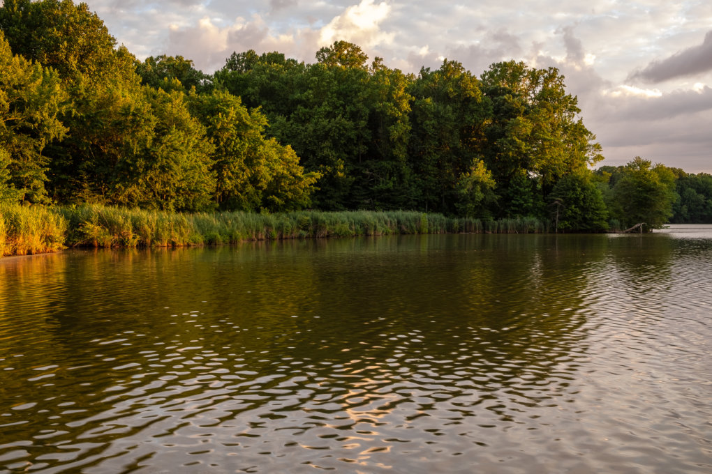 Lums Pond on a sunrise Lums Pond on a sunrise