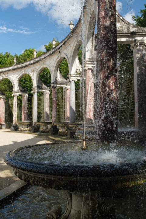 Colonnade Grove Colonnade Grove