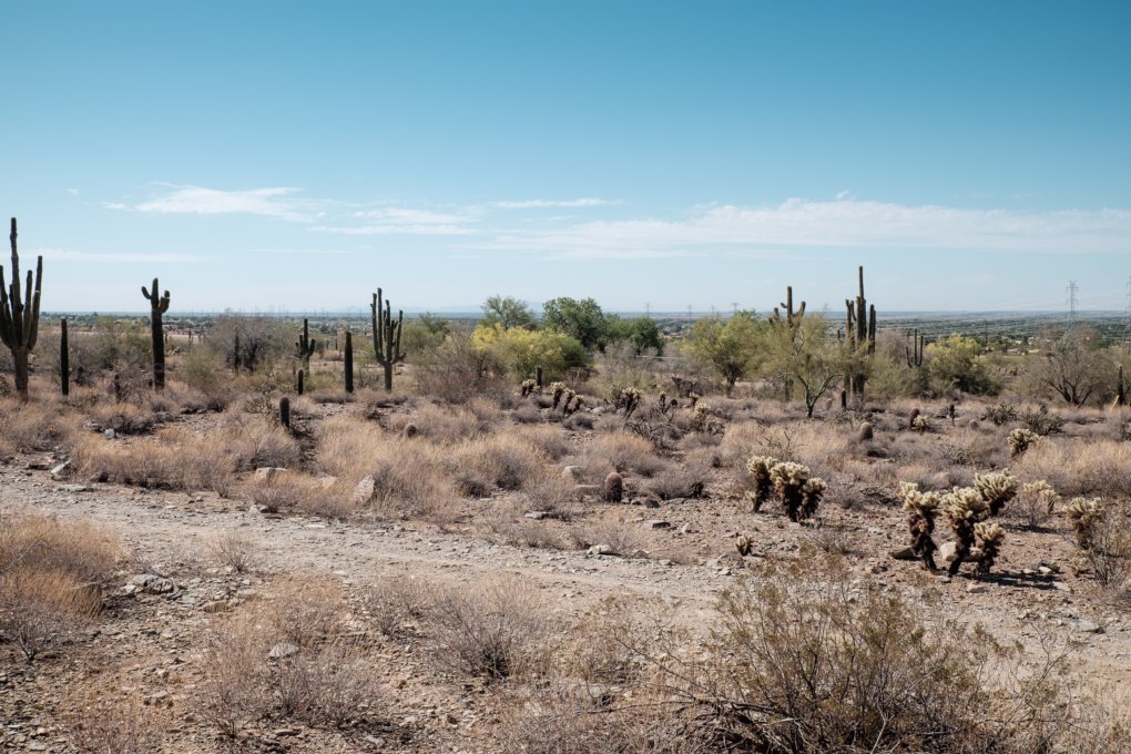 View on a desert View on a desert