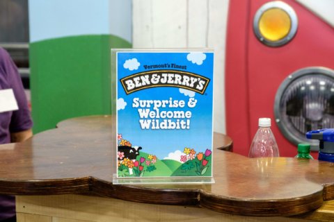 Surprise & Welcome Wildbit! Surprise & Welcome Wildbit!