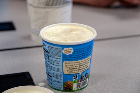 Tasting the new ice cream Tasting the new ice cream