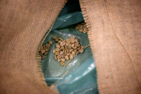 Green coffee beans Green coffee beans