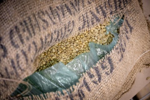Green coffee beans Green coffee beans